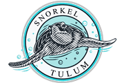 Snorkel Tulum